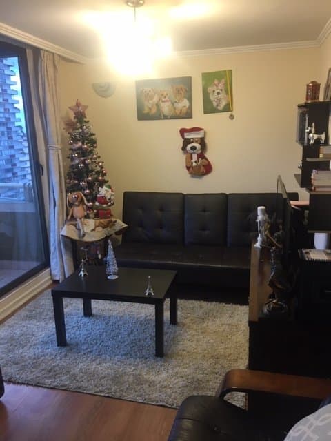 Vende Departamento en el Centro de Temuco — fotografía 1