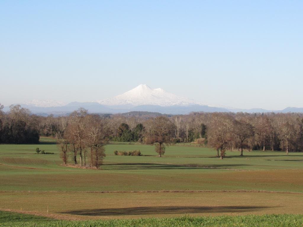 Hermosas Parcelas con vista al Volcán Llaima, camino a Cunco — fotografía 1