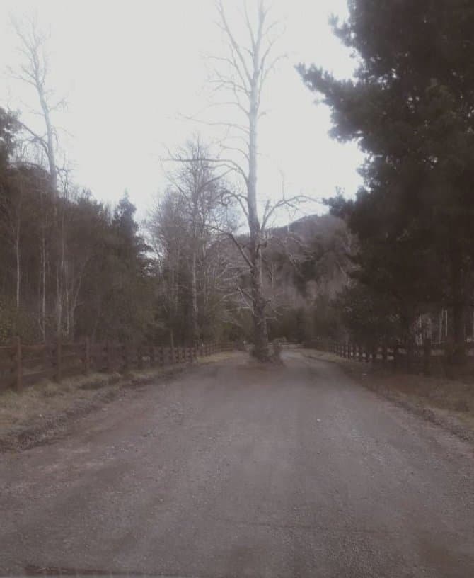 Parcela en Venta en Pucón, camino a Curarrehue — fotografía 1