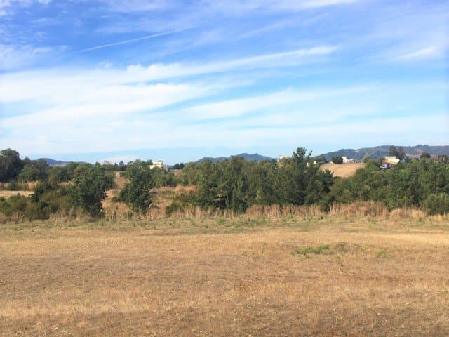 Vende Sitio de 5.122 M2 en Condominio Lomas del Carmen, Temuco — fotografía 1