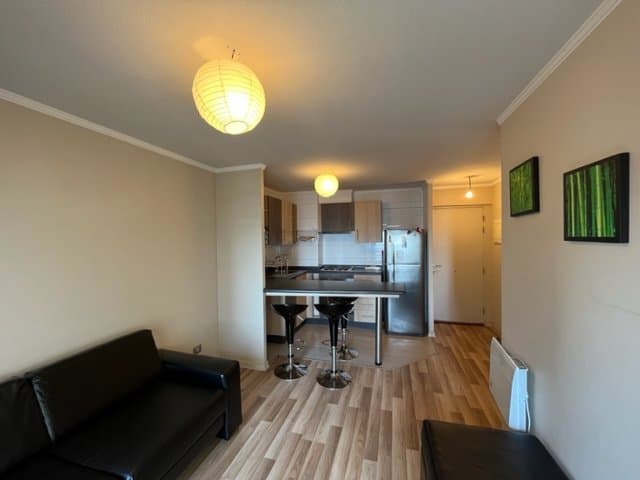 Vende Departamento de 2D, 1B, Estacionamiento y Bodega en Edificio Centro Lagos I — fotografía 1