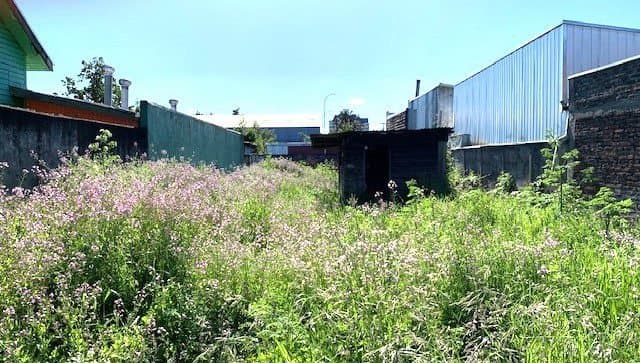 Vende Sitio de 400 M2 en calle Santa Teresa, Población Dreves — fotografía 1