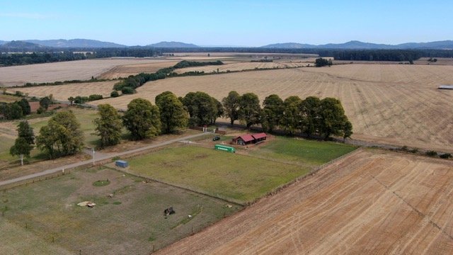 PHOTO-2025-06-10-18-47-59