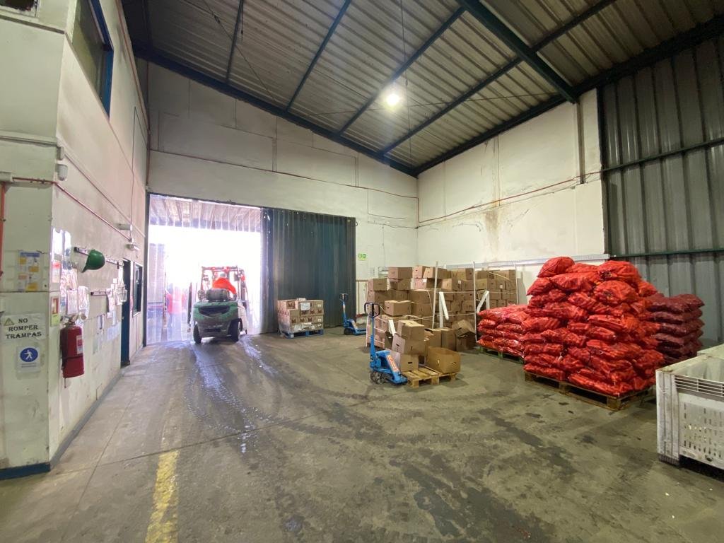 WhatsApp Image 2023-08-30 at 4.19.43 PM