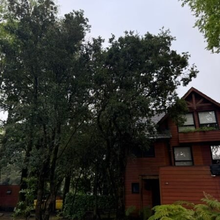 25b7bb1f-6af6-49ec-a7f5-2f4a9aa28307