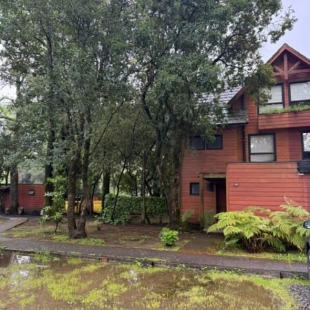 88d41a22-c524-4b17-8ff5-a380f01fa31e