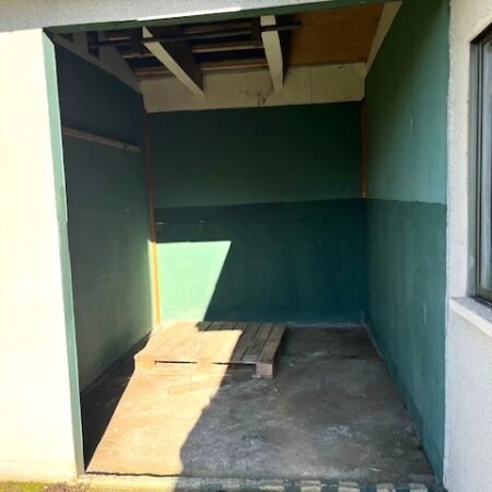 IMG_1405 (1)