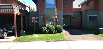 IMG_20230304_121440_copy_1024x1365