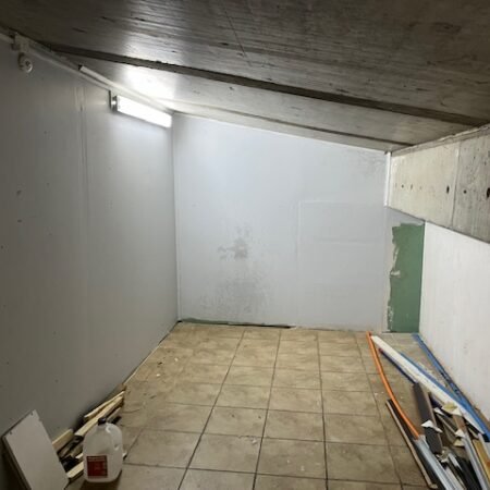 IMG_2317 (1)