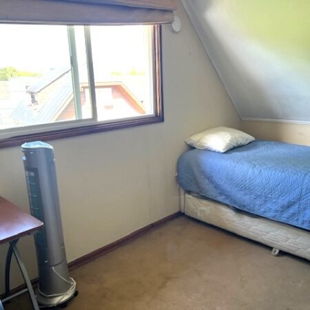 IMG_2369 (1)