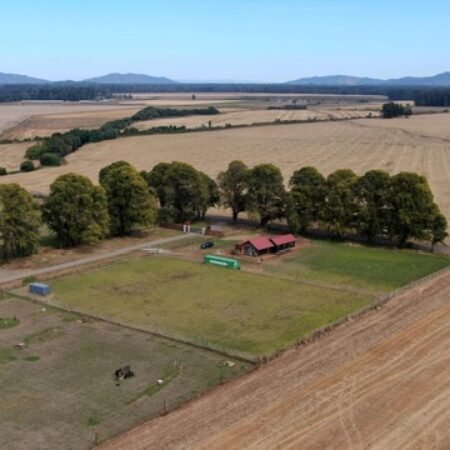 PHOTO-2025-06-10-18-47-59