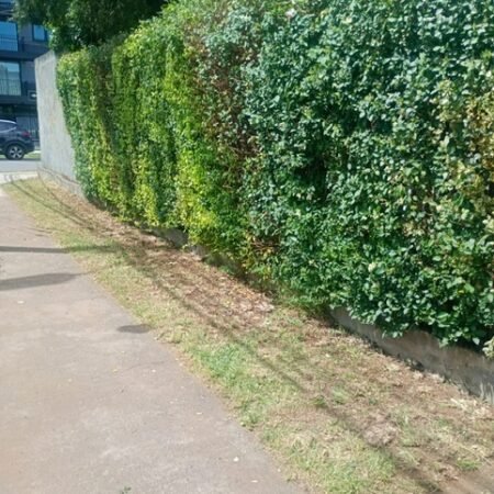 PHOTO-2025-11-17-14-13-16_3