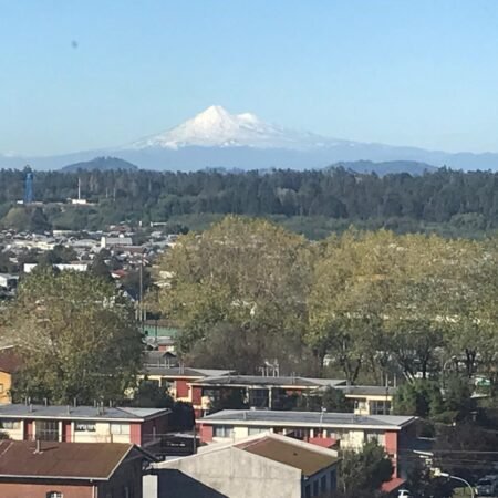 PHOTO-2026-01-09-11-07-40_9